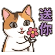 008