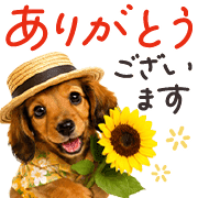 008