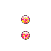 244