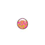 253