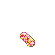256
