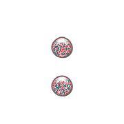 244