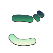 060
