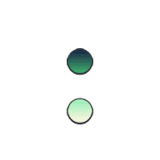 244