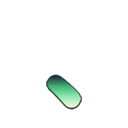 256