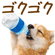 009
