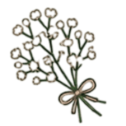 025