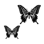 015