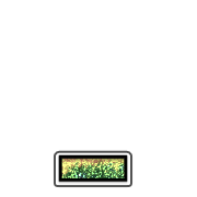 250
