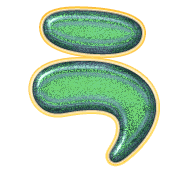 003