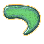 018
