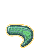 052