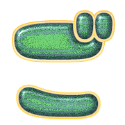 060