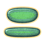 102