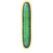242