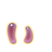 048