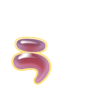 049