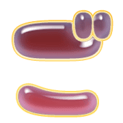 060