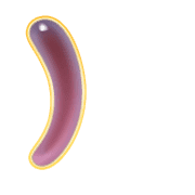 235