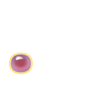246
