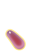 256