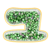 117