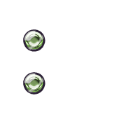 244
