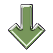 261