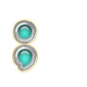 243