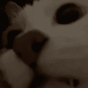 009