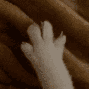 039