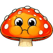 005