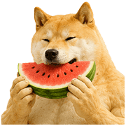 004