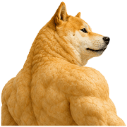 019