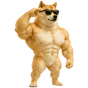 031