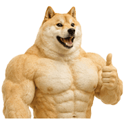 005