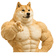 006