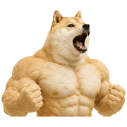 009