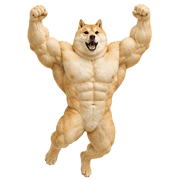031