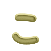 010