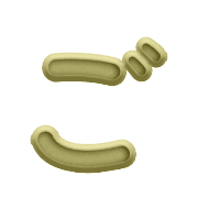 060