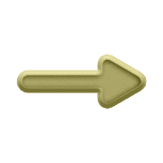 262
