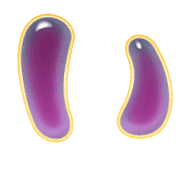 002