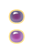 244