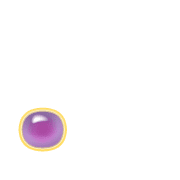 246