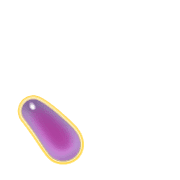 256