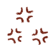 021