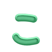 010
