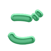060