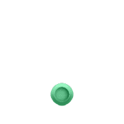 246